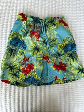 Tropical Flamingo Print Swim Trunks - 3/$12 Bundle & Save